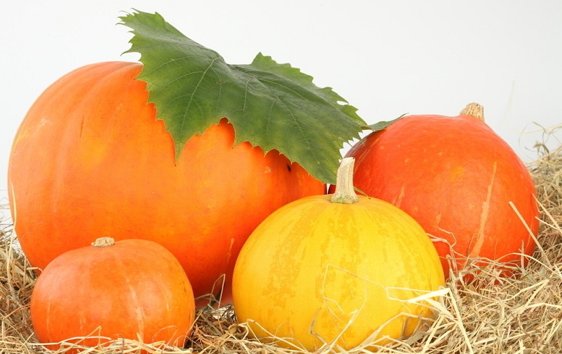 春天天气干燥吃什么食物好,天气干燥需要吃些什么东西