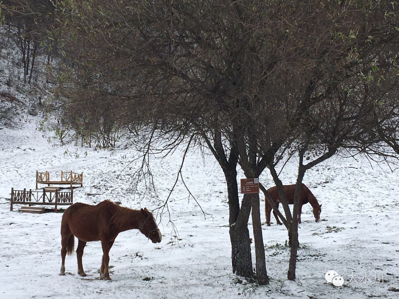 秋里看冬，就是美！