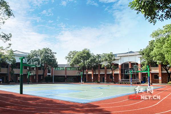 家门口的好学校·好校长天心区新开铺小学：童心教育，让孩子有“孩子样”