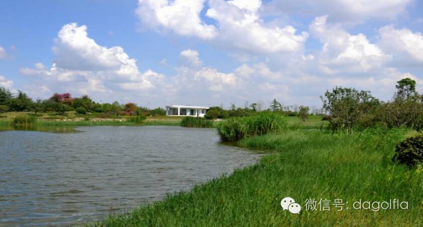 高尔夫球优惠活动,高尔夫挥杆练习场团购