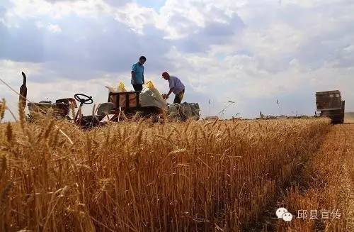 邱县食品博览会参展名单,河北邱县2024年食品交易博览会