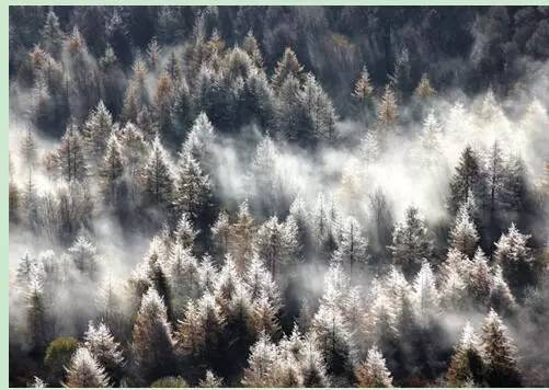 中国游客俄罗斯庆新春,中国旅游局欢迎首批俄罗斯游客