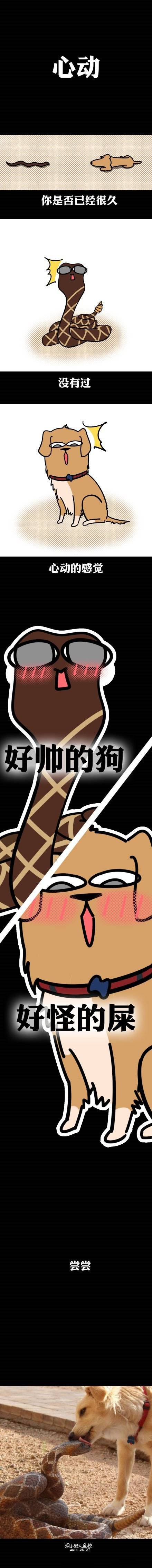 每日游报2016,每日游戏报