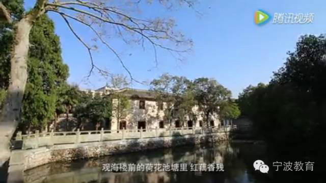 宁波十大重点小学排名,宁波十大小学