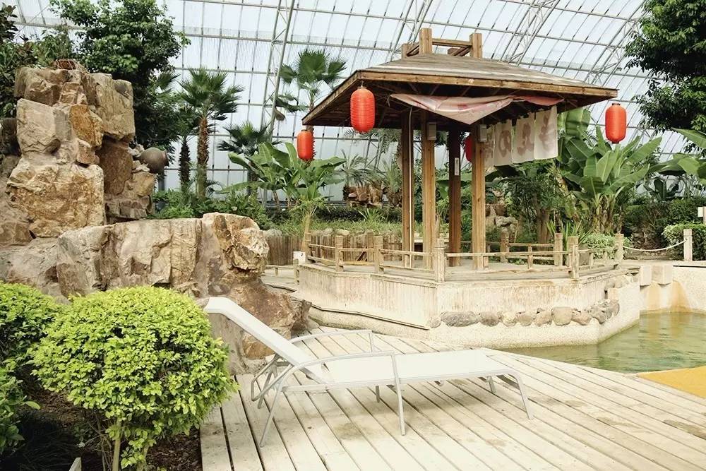 原来在宿舍也可以这么快乐,原来在大连也可以享受洱海