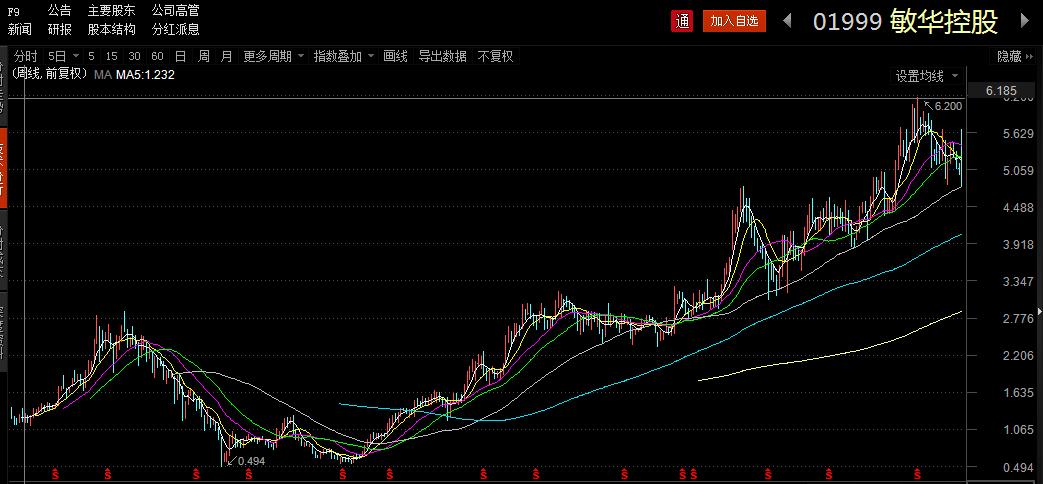 敏华控股股价为何下跌严重,港股敏华控股01999表现怎么样