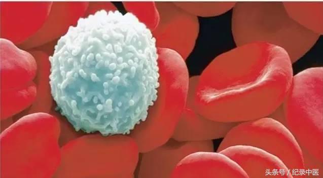 记录癌症被治好的一本书,被判无期的中医