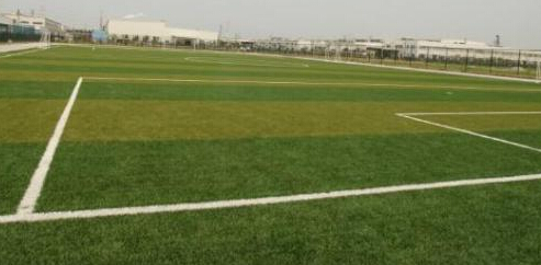 踢球人必有的鞋,足球场地怎么选球鞋