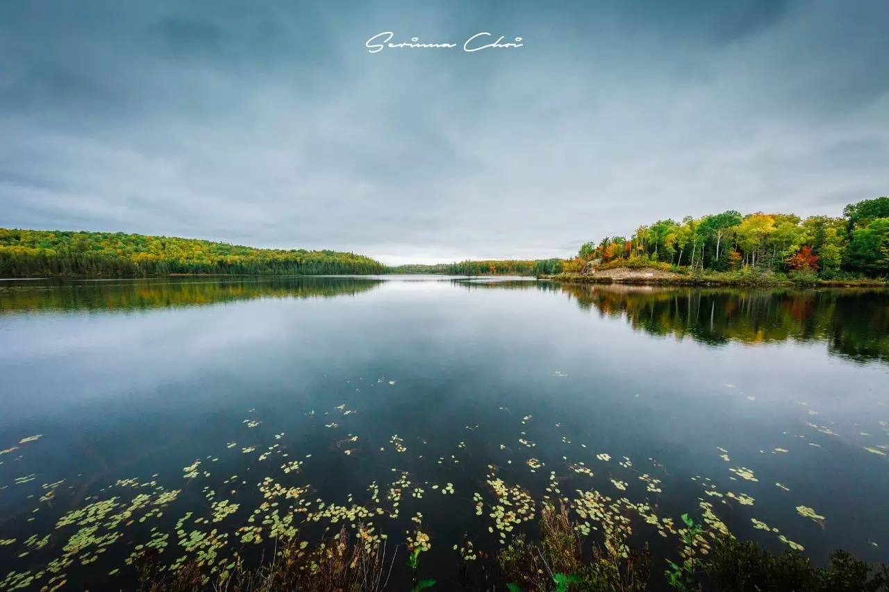 琛屾憚鍗冨北涓囨按鏁欑▼,琛屾憚鏀荤暐