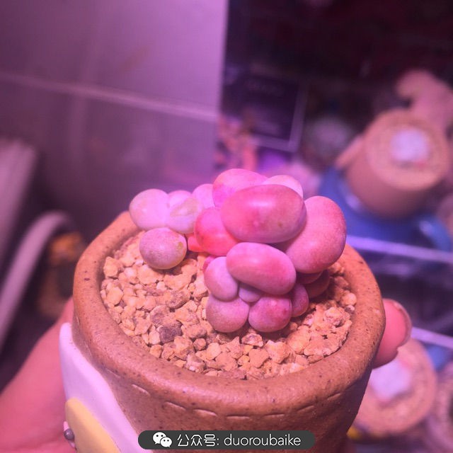 谈谈我的看法和感想,谈谈我对自己的看法