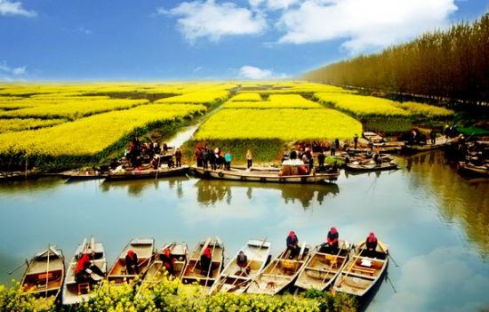 农业创业赚钱项目怎么做,创业种植什么可以赚钱的