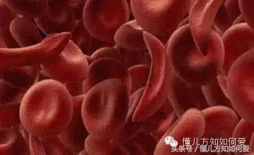 地贫筛查准确率高吗,广医三院地贫筛查