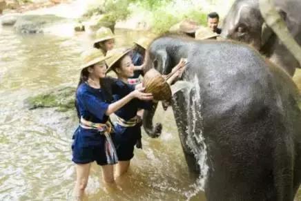 Word天！vipabc2016环球小姐中国区总决赛上演