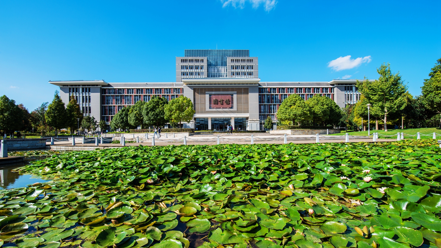 浜戝崡甯堣寖澶у鍛堣础鏍″尯,浜戝崡甯堣寖澶у