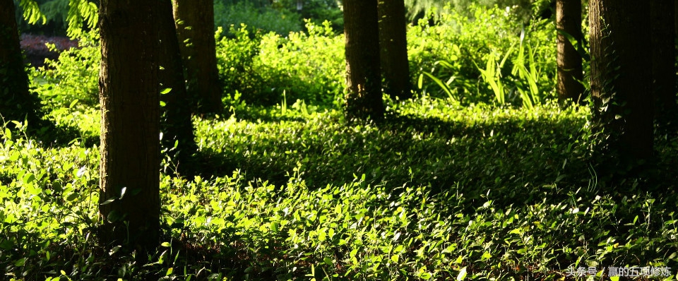 赢的五项修炼,如何提高自己的职场竞争力