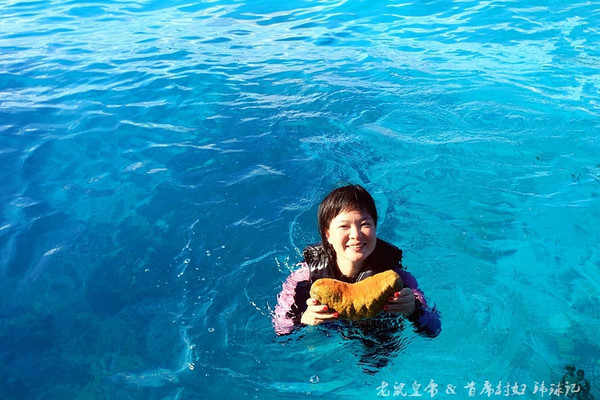 帕劳海底鲨鱼图片大全,帕劳海洋奇观之谜