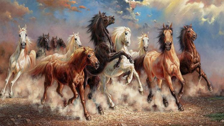 为什么日本马油这么便宜,日本哪个马油正宗