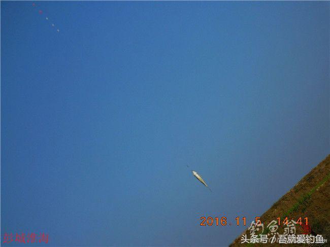 窝料大河野钓推荐,再钓东河水库