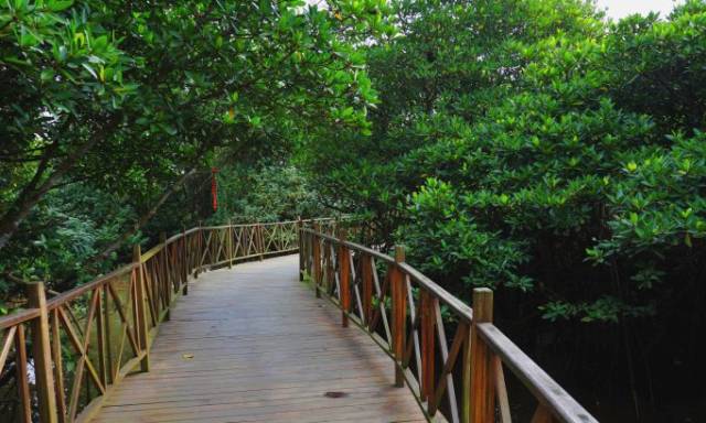 文昌是个什么样的地方,文昌有哪些自然风光特点