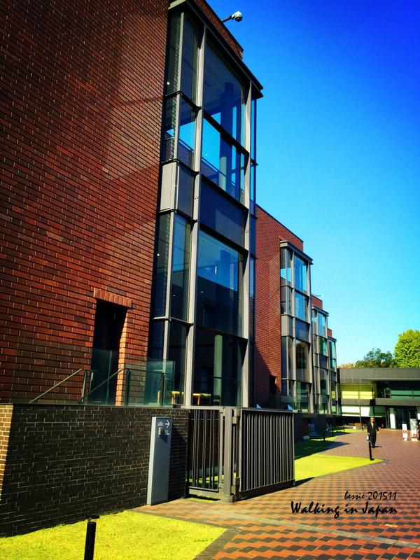 霓虹国秋日暴走之旅,漫步日本旅行游记