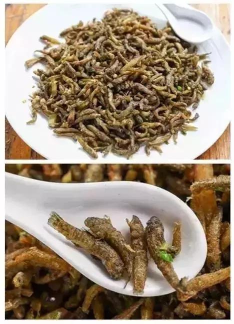 黄埔古港农家菜,黄埔古港好吃美食