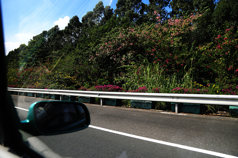 广州车展探馆日,2019广州车展探馆雷克萨斯