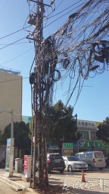 辣眼睛还怕伤人!谁来管管这些“蜘蛛网”“绊马绳”