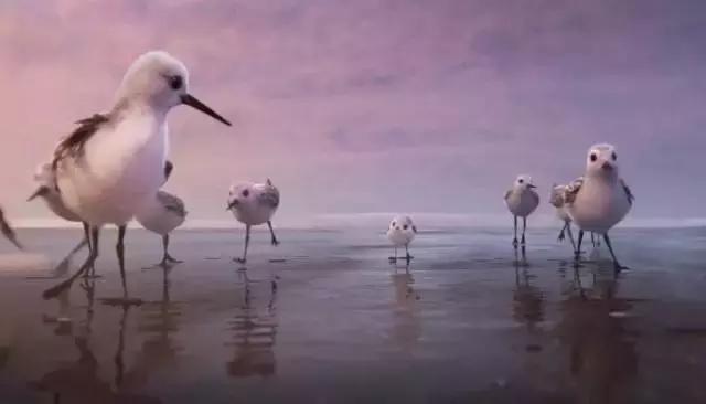 鸟是好鸟就是话多这幅图表达什么,鸟是好鸟是什么梗