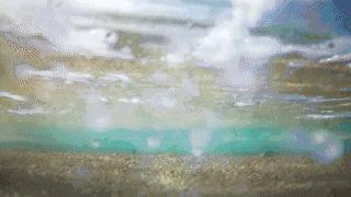 鸟是好鸟就是话多这幅图表达什么,鸟是好鸟是什么梗