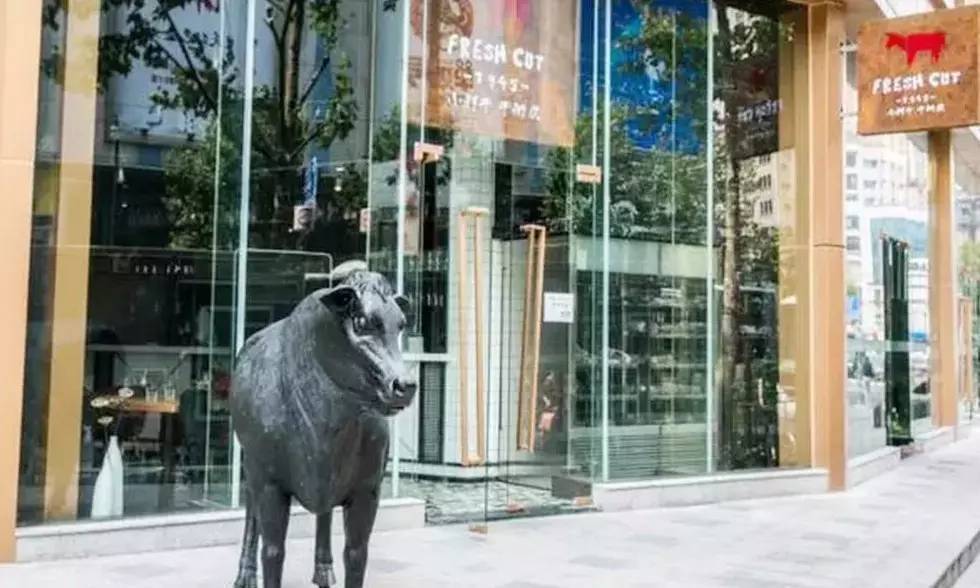 高端大气的肉店,肉店都有什么