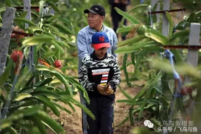 最好的旅程是在家陪伴,最好的旅行是陪伴