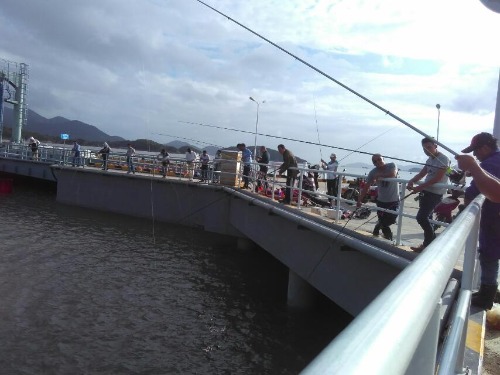 海钓米鱼讲解及示意图,海钓分析报告