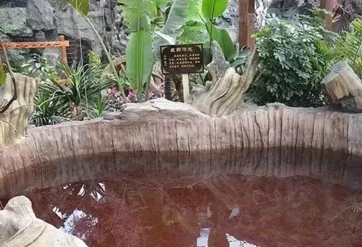 又到约泡季！这份徐州周边温泉大全，满足你一切幻想！