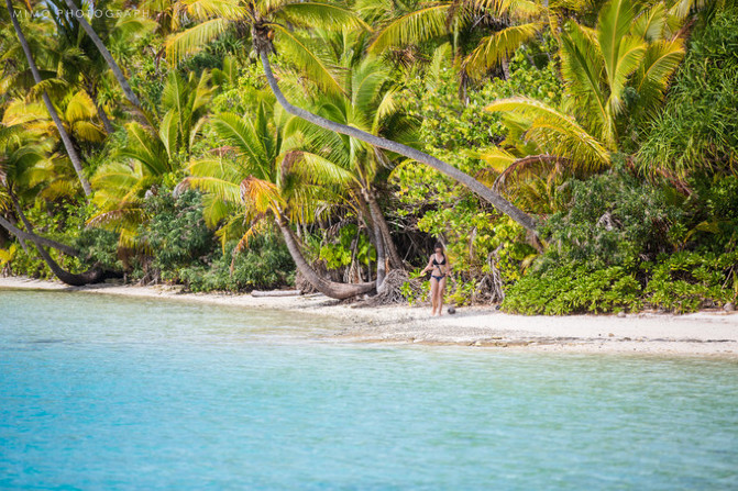 库克，上帝最秘密的存在