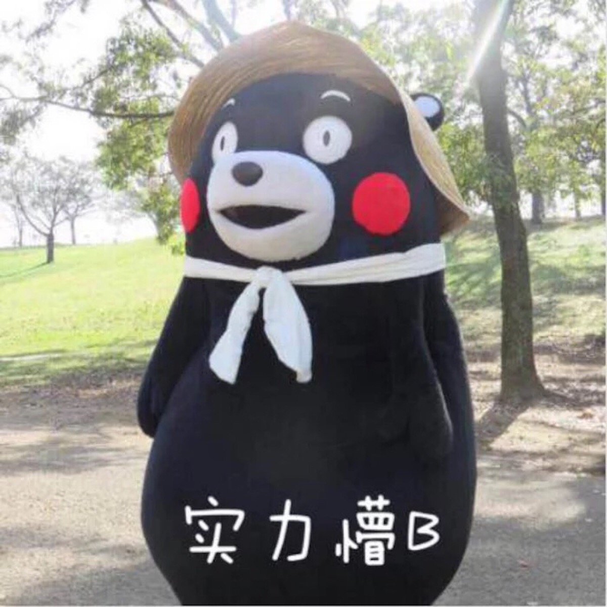 手机搜不到信号怎么回事,手机搜不到wifi信号了怎么回事