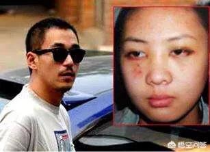 张默评价童瑶完整版,童瑶在叛逆者中的评价