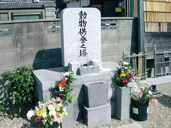 世界十大神奇职业资格证,国家的十大职业资格证书