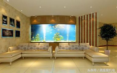 室内鱼缸摆放位置有什么讲究吗,鱼缸在室内的摆放位置有讲究吗