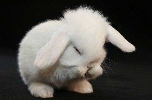 超皮秒激光祛斑2022价目表,激光皮秒祛斑一到七天变化图