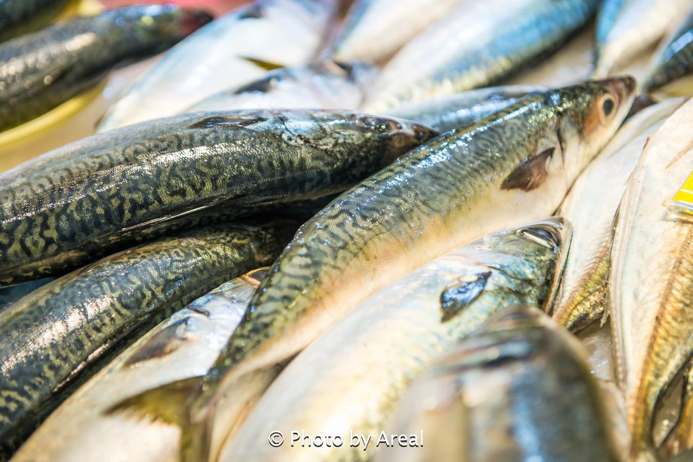 济州岛一日游美食探索,济州岛白天美食攻略