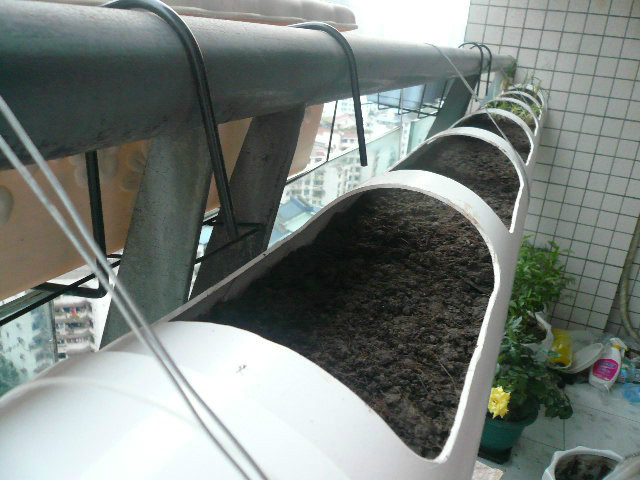 大叔用pvc管在阳台种菜7年,江苏人巧用pvc管阳台种菜