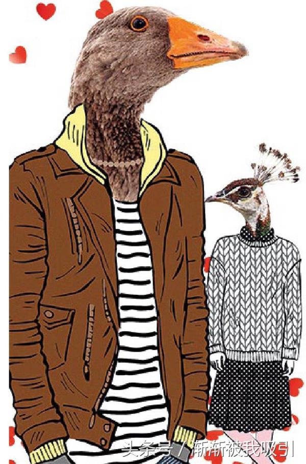 动物同性之爱：再也无法直视汤姆和杰瑞了