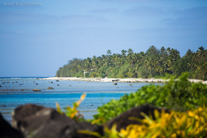 库克，上帝最秘密的存在