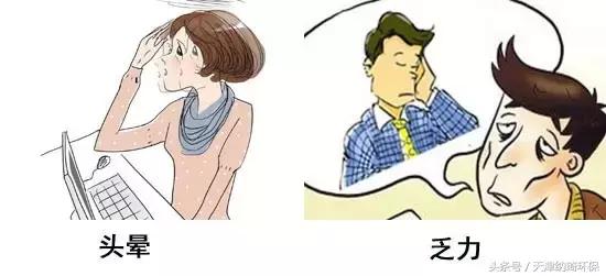 苯宝宝,苯宝宝好心酸