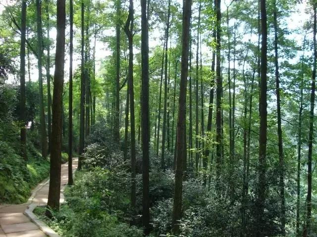 成都户外徒步去哪里,成都周末徒步亲近大自然