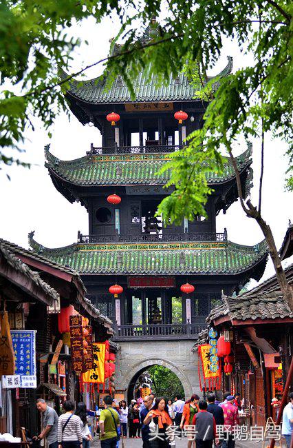 新疆野鹅自驾游视频,野鹅圣诞节自驾游