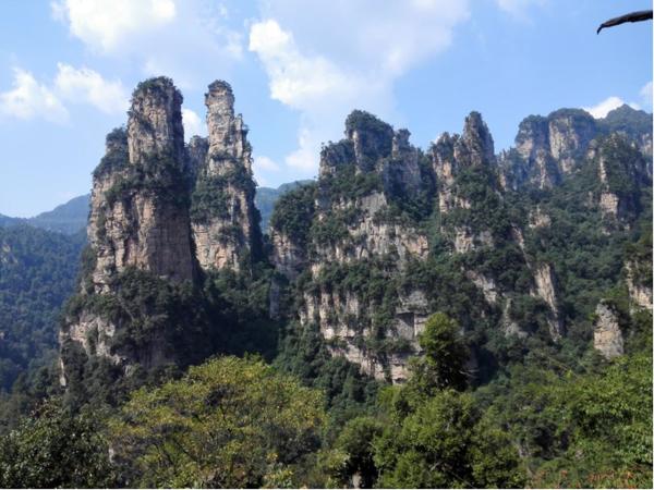 张家界优质导游,张家界良心好评导游