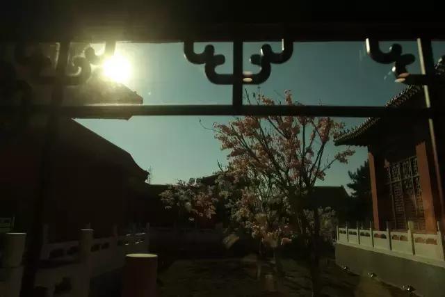 逼格最高的私汤温泉,北京日式私汤温泉推荐