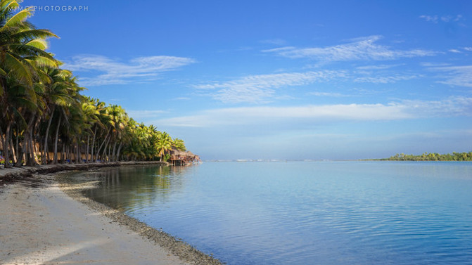 库克，上帝最秘密的存在