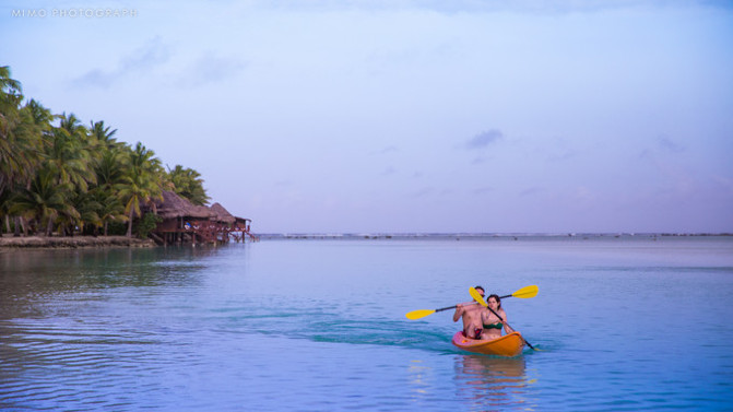 库克，上帝最秘密的存在